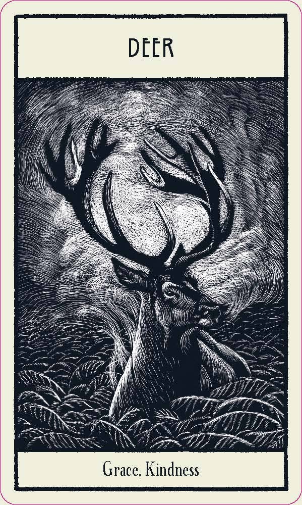 Untamed Spirit Animal Oracle
