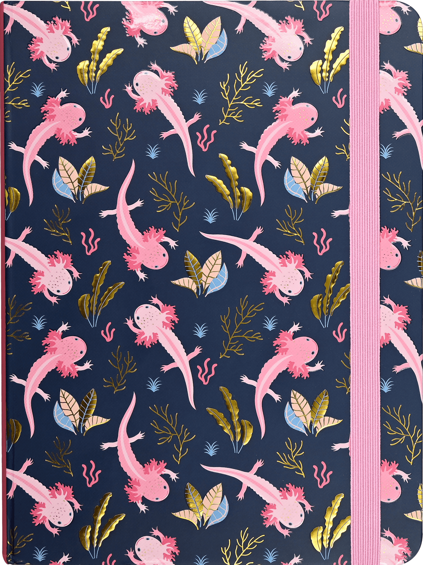 Axolotls Journal - The Regal Find
