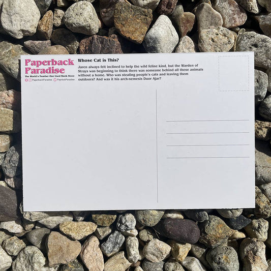 Whose Cat is This? Postcard