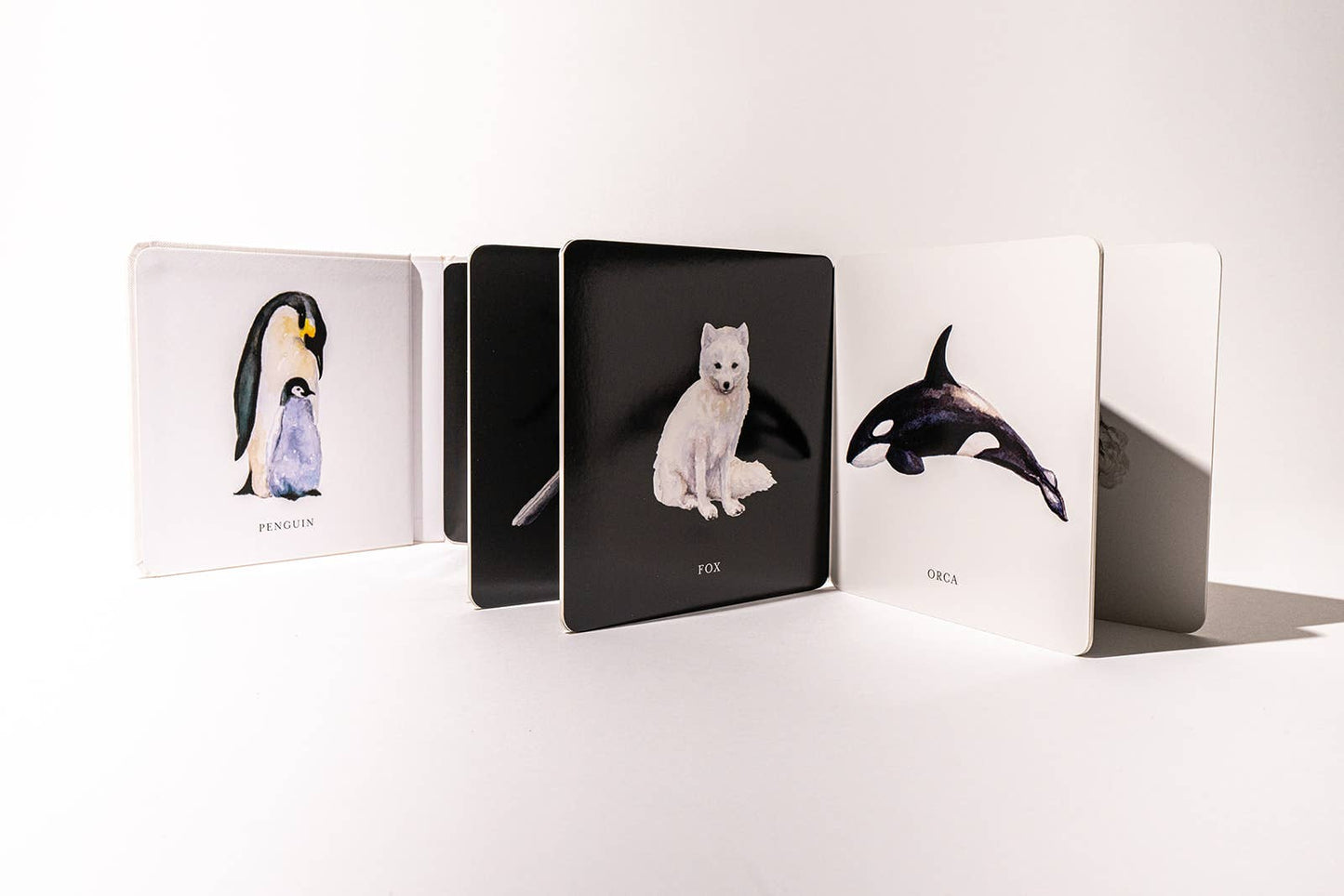 Baby's Black and White Contrast Book - The Regal Find