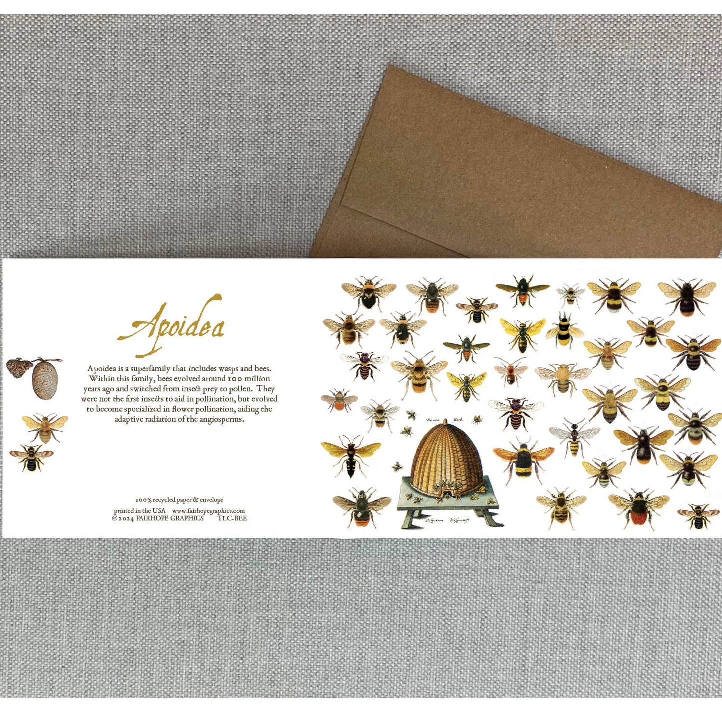 Bees Card - The Regal Find