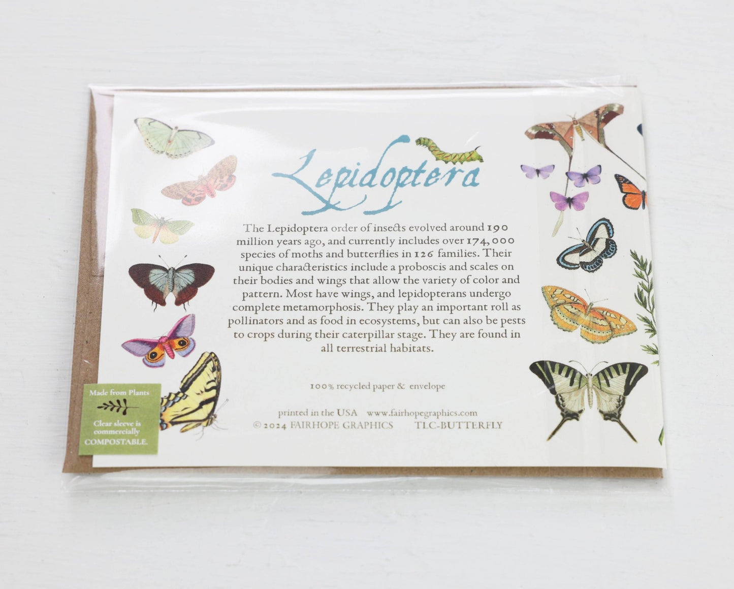 Butterflies and Moths Card - The Regal Find