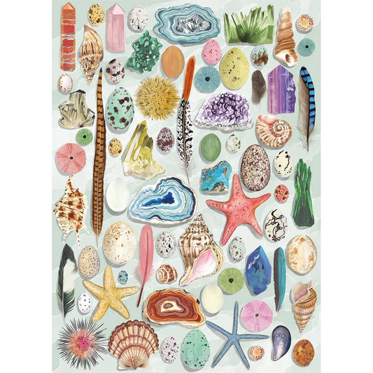 The Art File Natural Curiosities 1000 Piece Jigsaw Puzzle