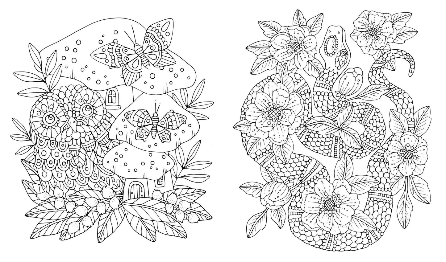 Fairy Tales & Folklore Coloring Book - The Regal Find