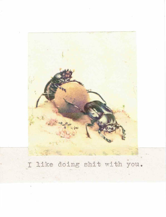 I Like Doing S*** With You Dung Beetle Card | Funny Valentine Anniversary Friendship - The Regal Find