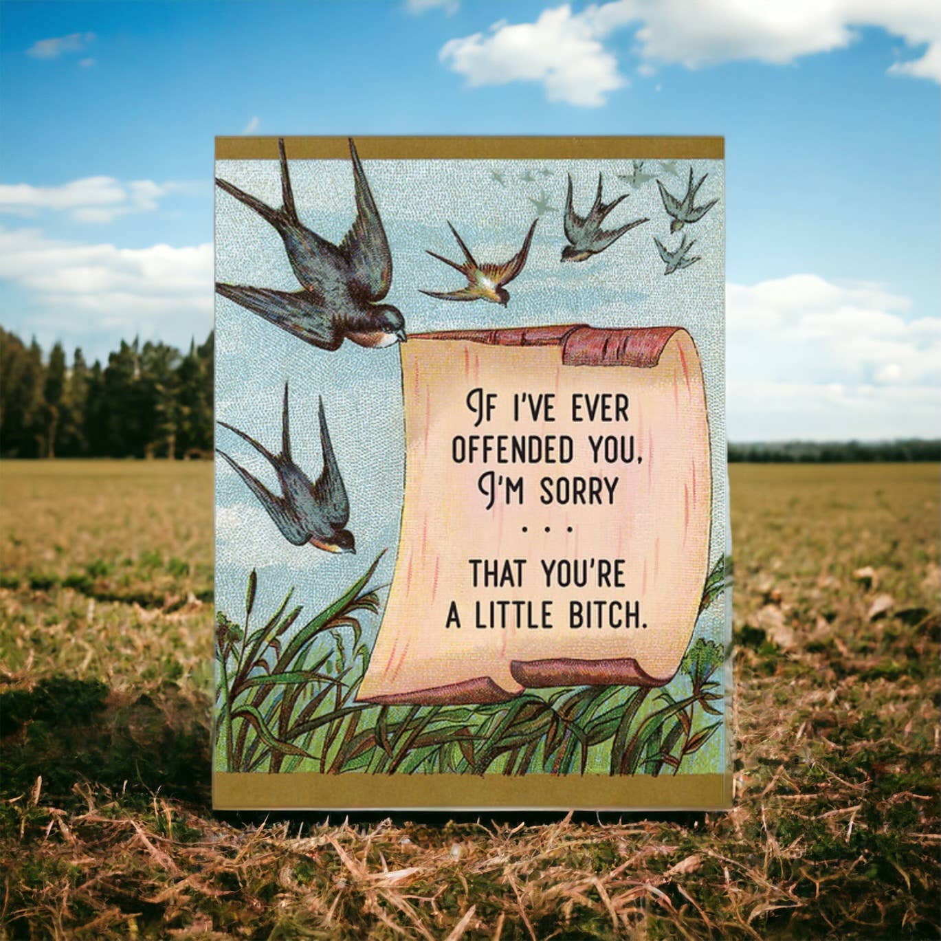 I'm Sorry If You're Offended (You're a Little Bitch) - The Regal Find