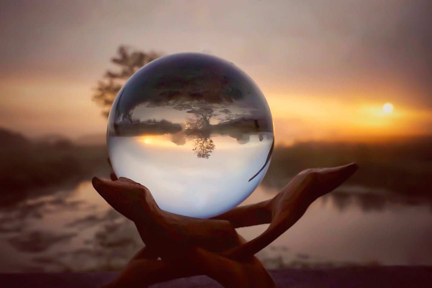 Mystic Morning - The Regal Find