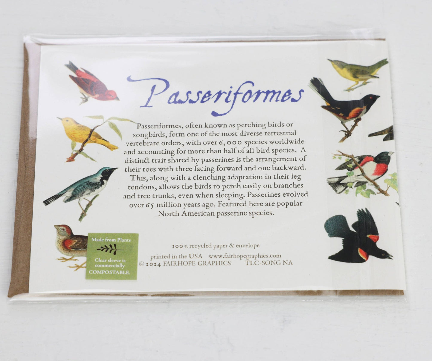 North American Songbirds Card - The Regal Find