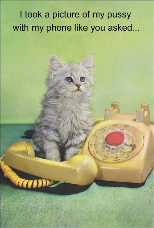 Pussy Cat - Funny Greeting Card - The Regal Find