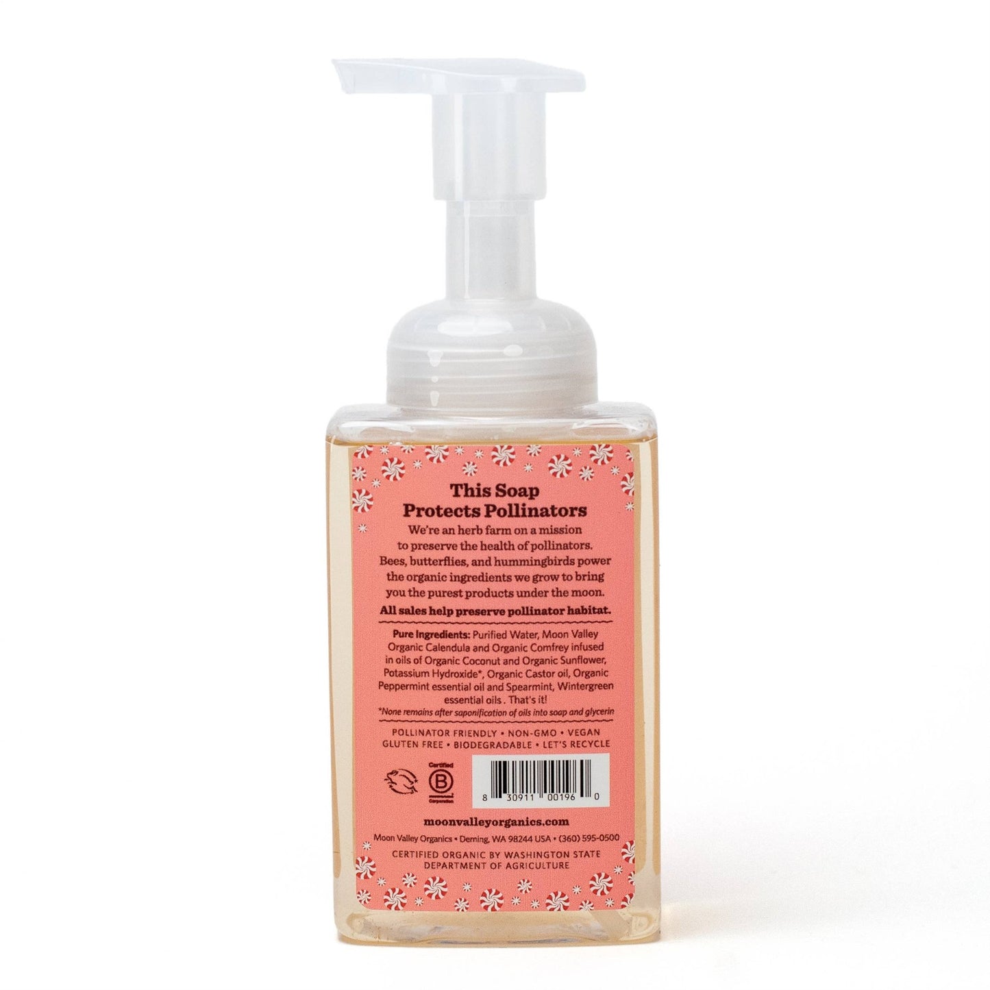 Seasonal Foaming Hand Soap - Candy Cane - The Regal Find