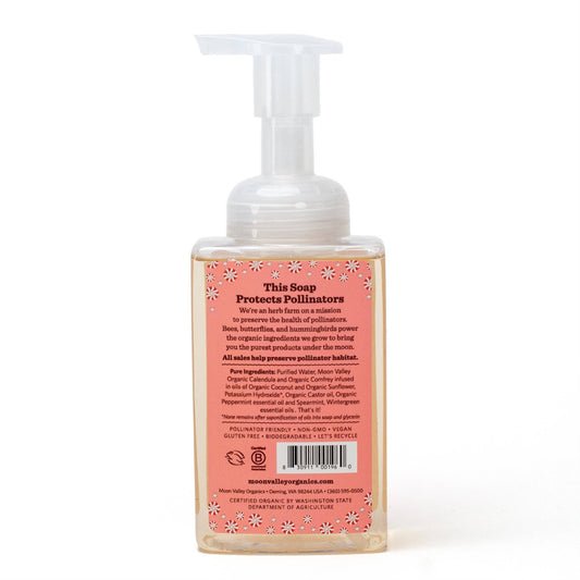 Seasonal Foaming Hand Soap - Candy Cane - The Regal Find