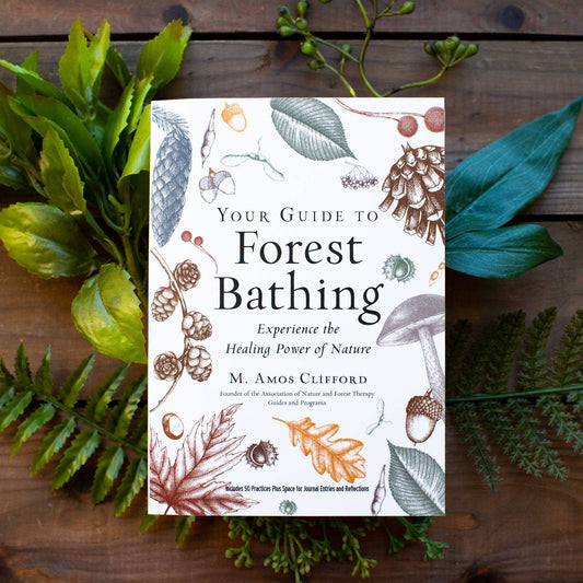 Your Guide to Forest Bathing: Expanded Edition Book - The Regal Find