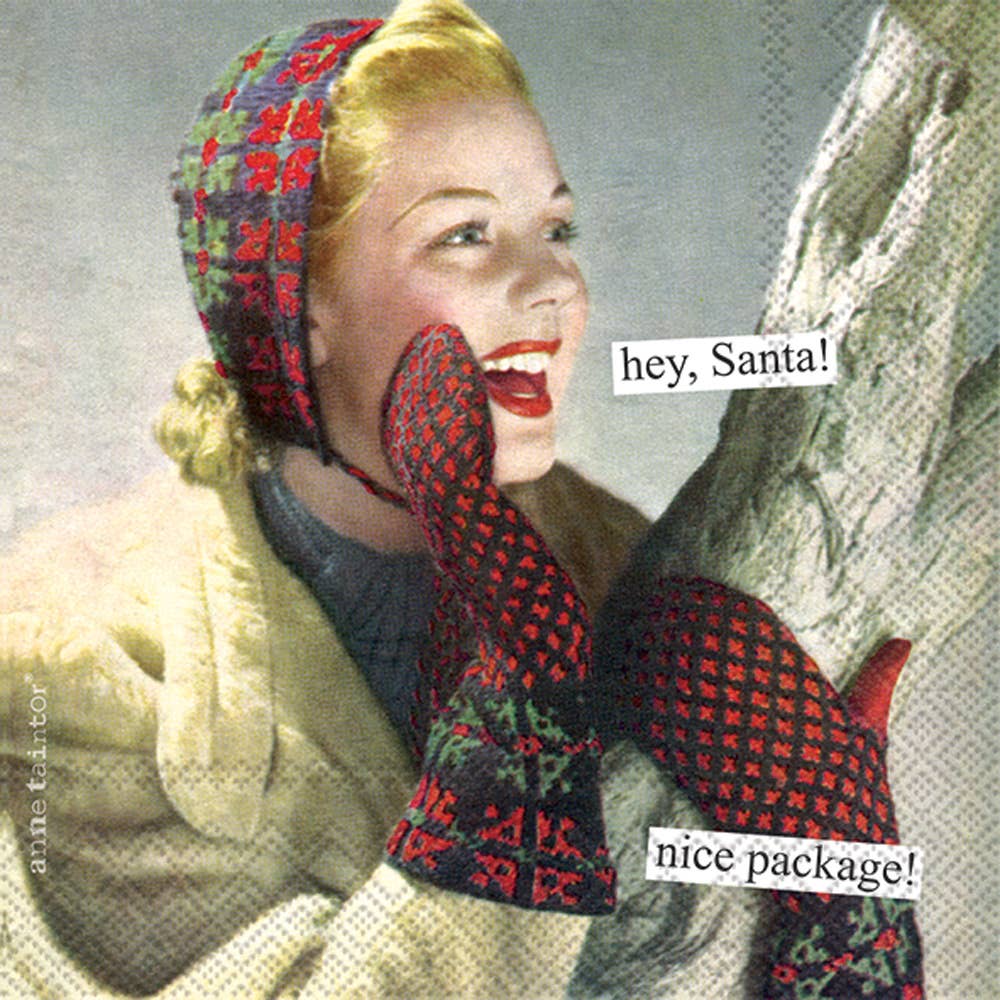 Paper Cocktail Napkins 20 ct Anne Taintor Package Christmas - The Regal Find
