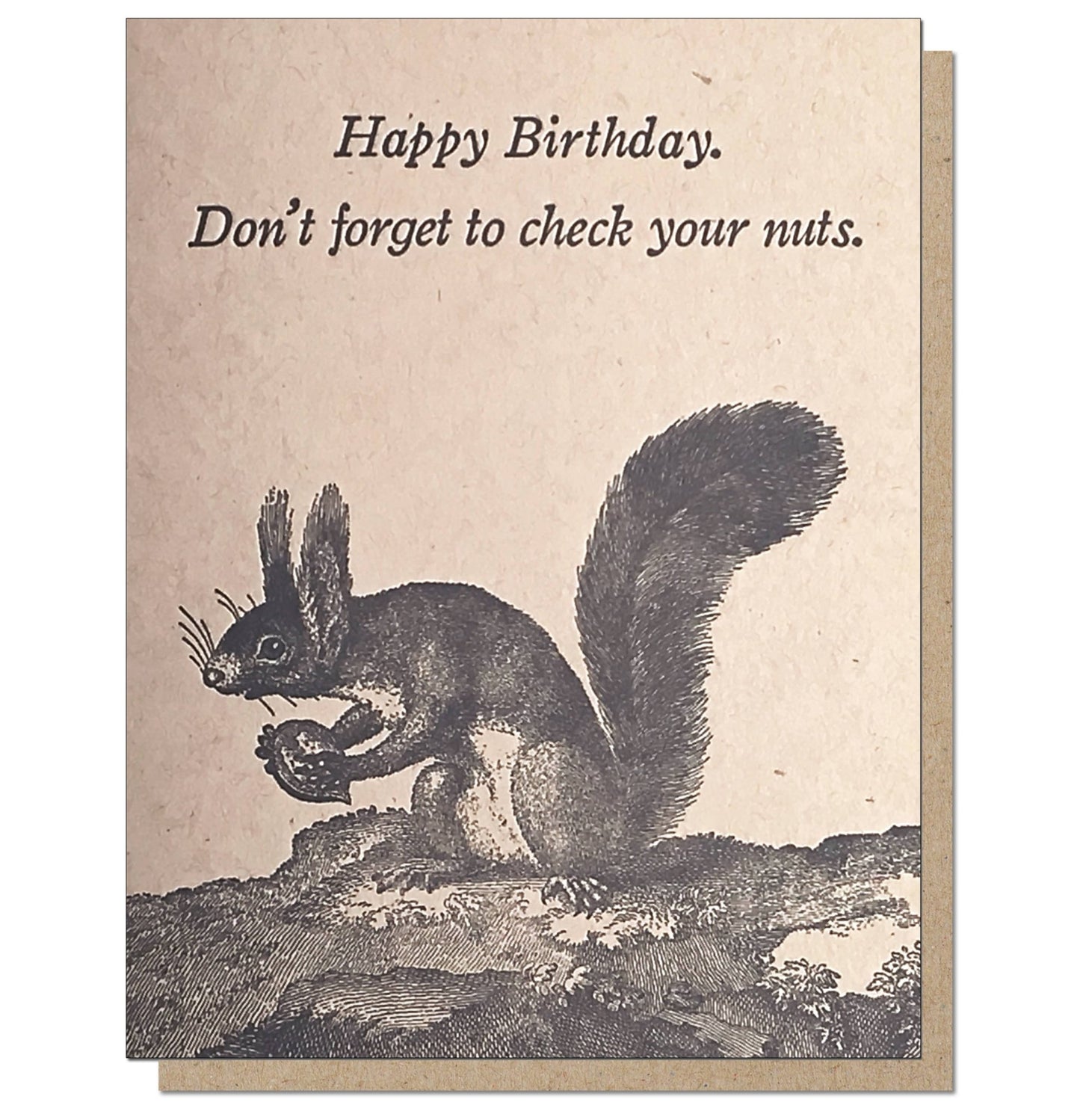 Squirrel, Check Your Nuts Card - The Regal Find