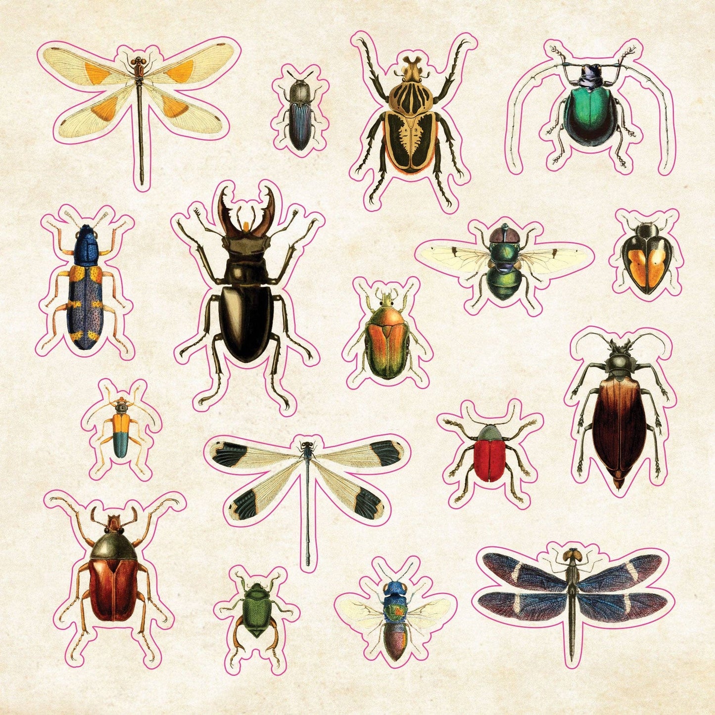 The Sticker Book of Curiosities - The Regal Find