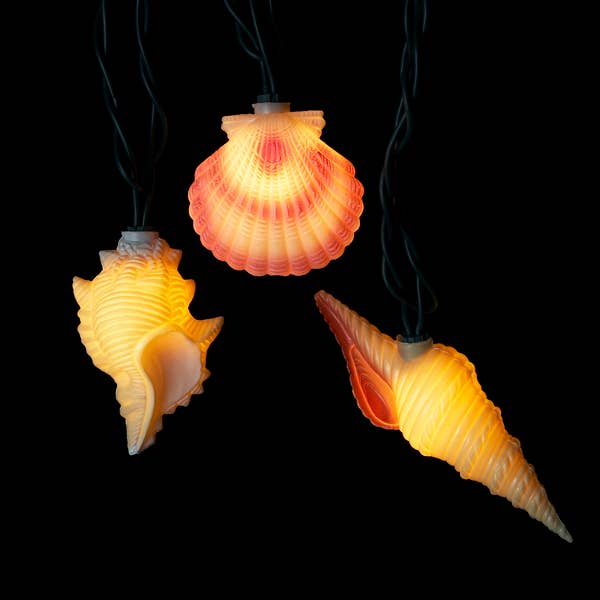 10/L CONCH & SHELLS LIGHT SET - The Regal Find