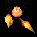 10/L CONCH & SHELLS LIGHT SET - The Regal Find