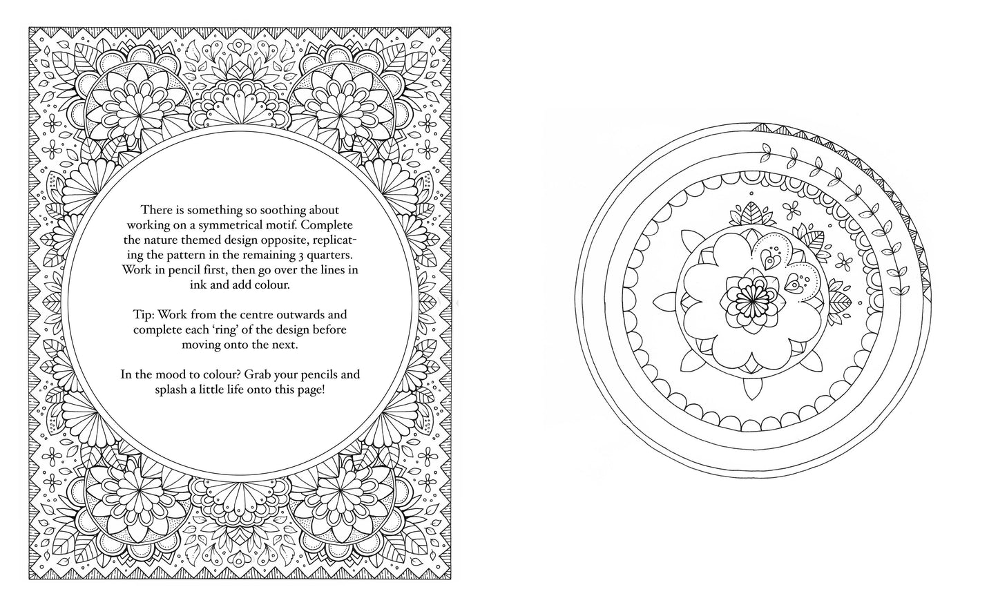 30 Days Of Creativity by Johanna Basford