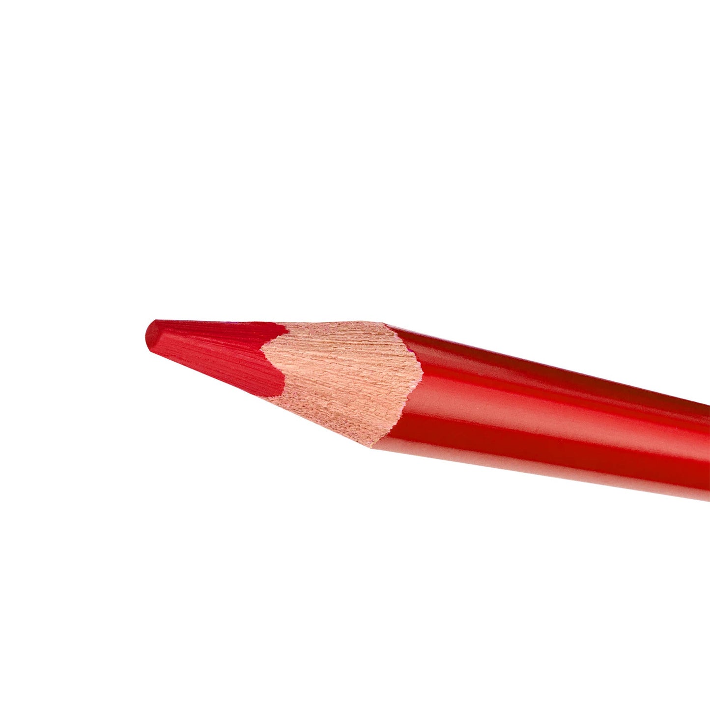 STAEDTLER 24pc Triangular Colored Pencils - Ergonomic