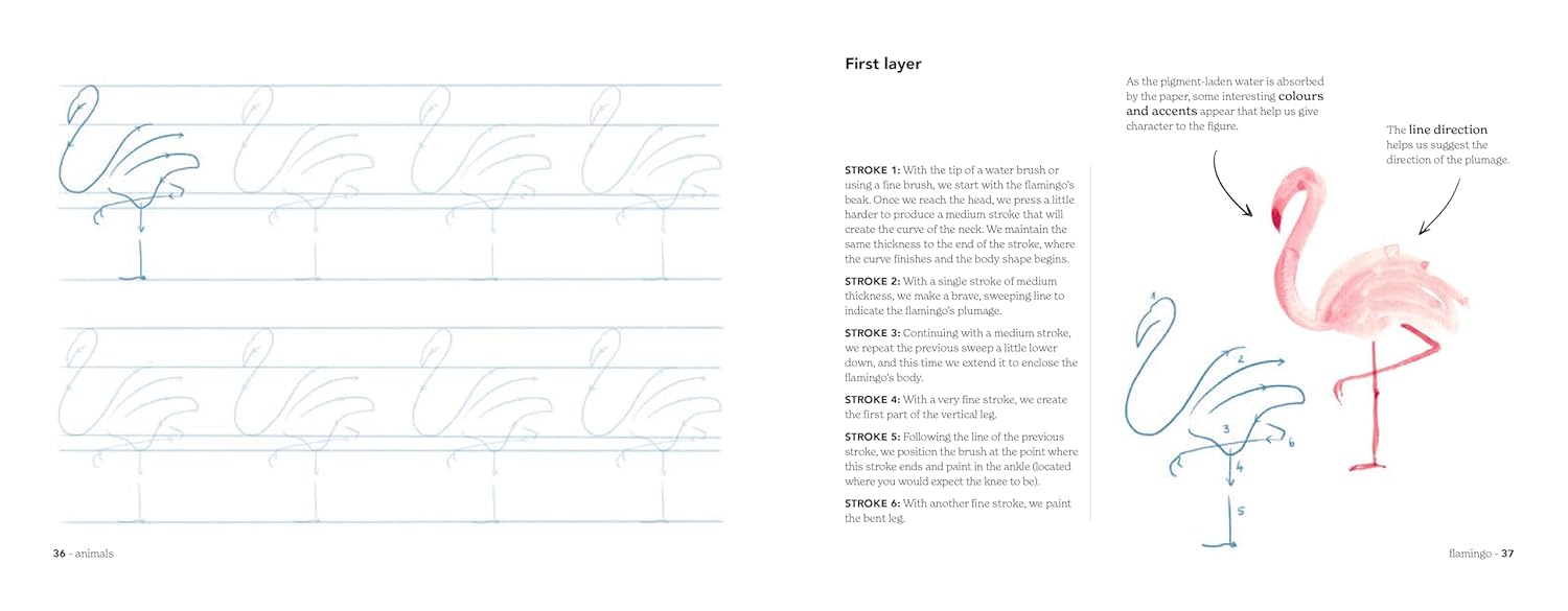 Step-by-step illustration guide for drawing a flamingo with text instructions on a white background.
