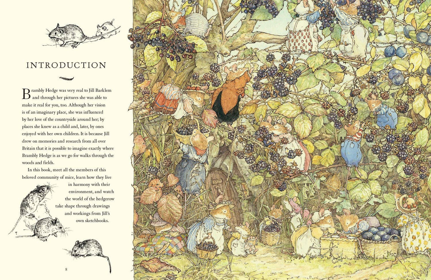 A Visit to Brambly Hedge by Jill Barklem