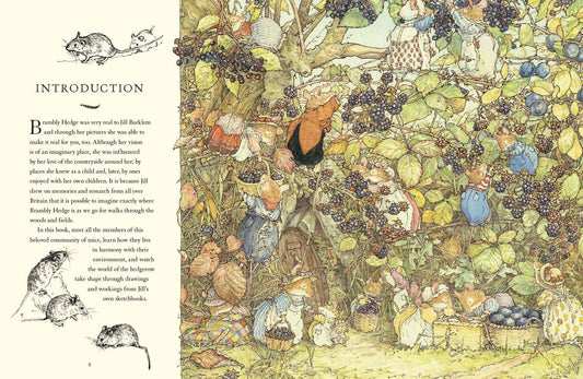 A Visit to Brambly Hedge by Jill Barklem