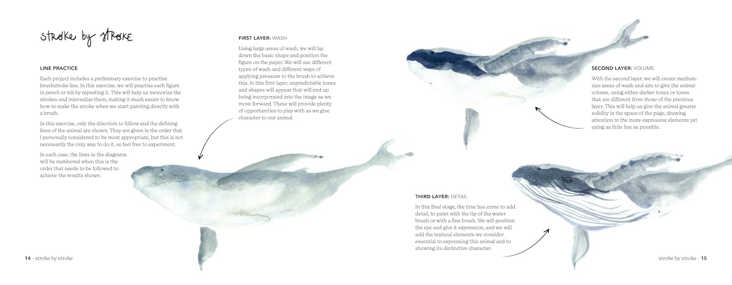 Illustration of a whale with labeled layers and text on a white background