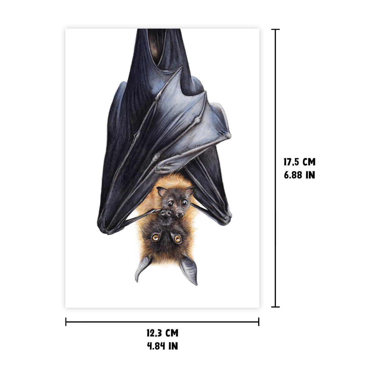 Flying Fox Greeting Card