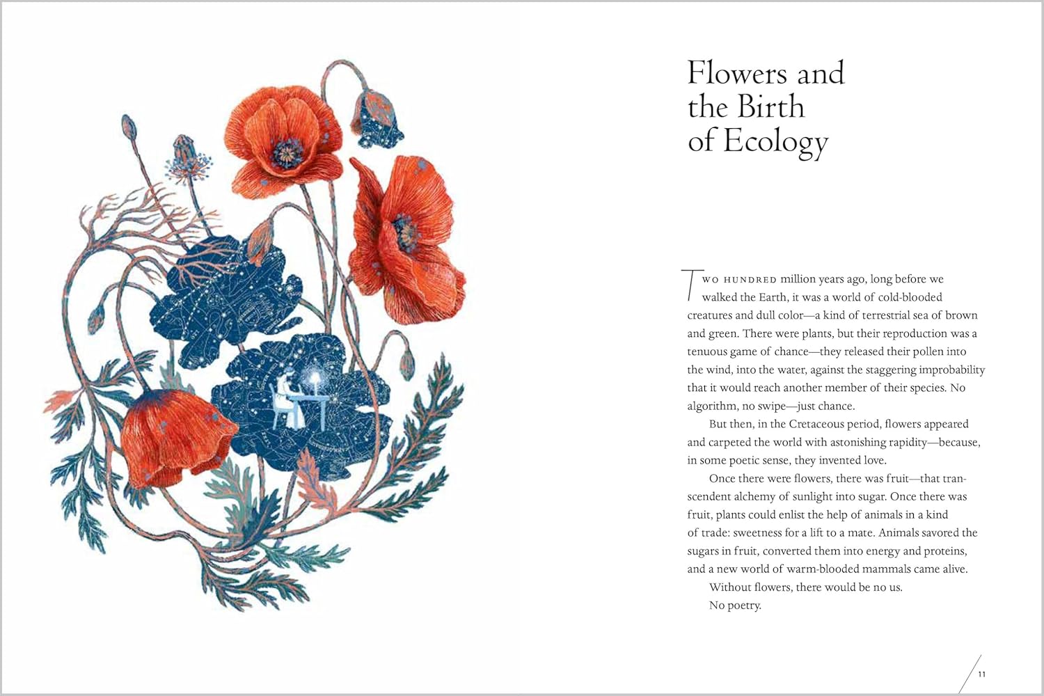 Illustration of flowers with text on a white background