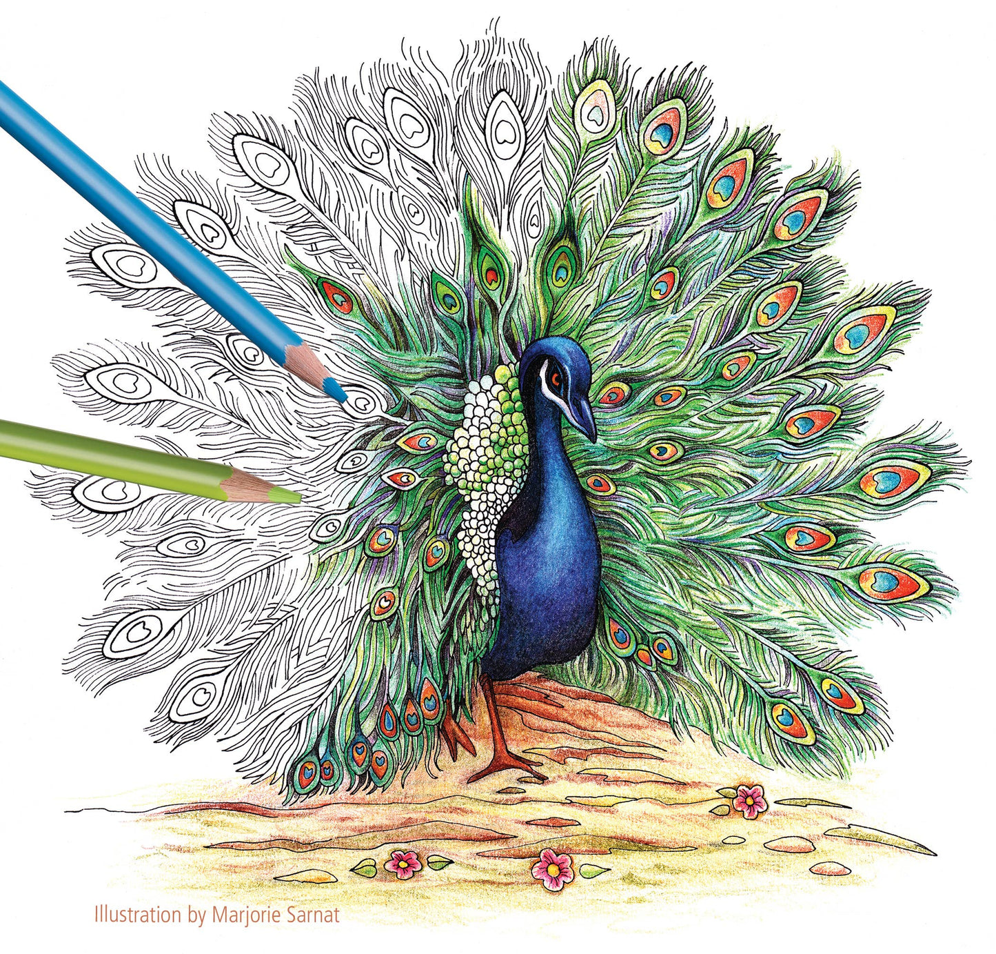 STAEDTLER 24pc Triangular Colored Pencils - Ergonomic