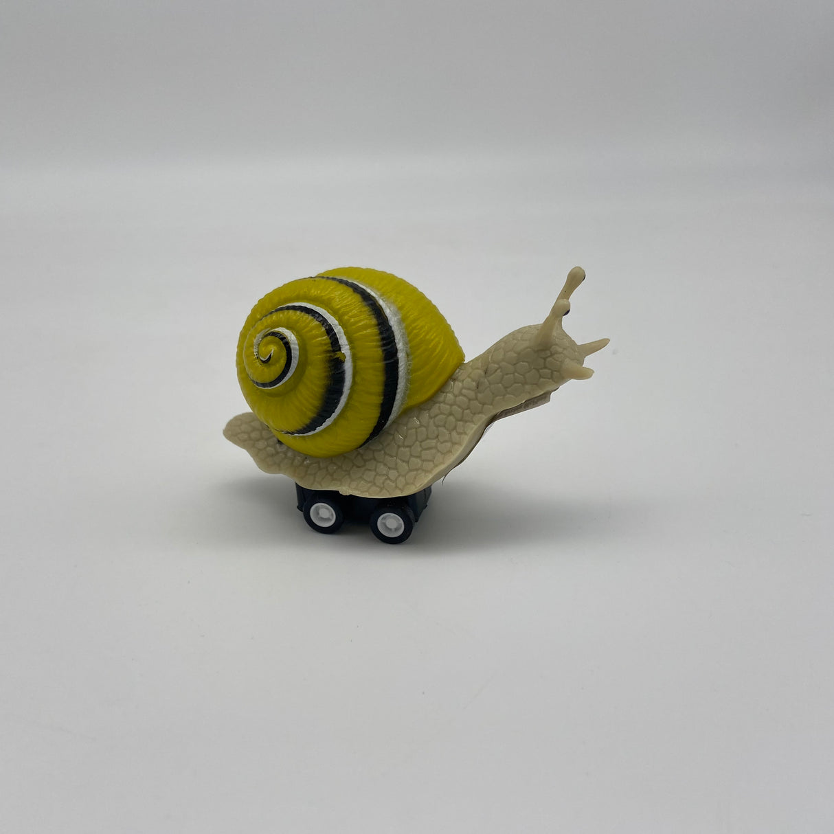 Racing Snail Chartreuse - The Regal Find