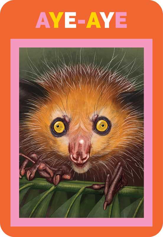 Illustration of an aye-aye with a colorful border and text on an orange background