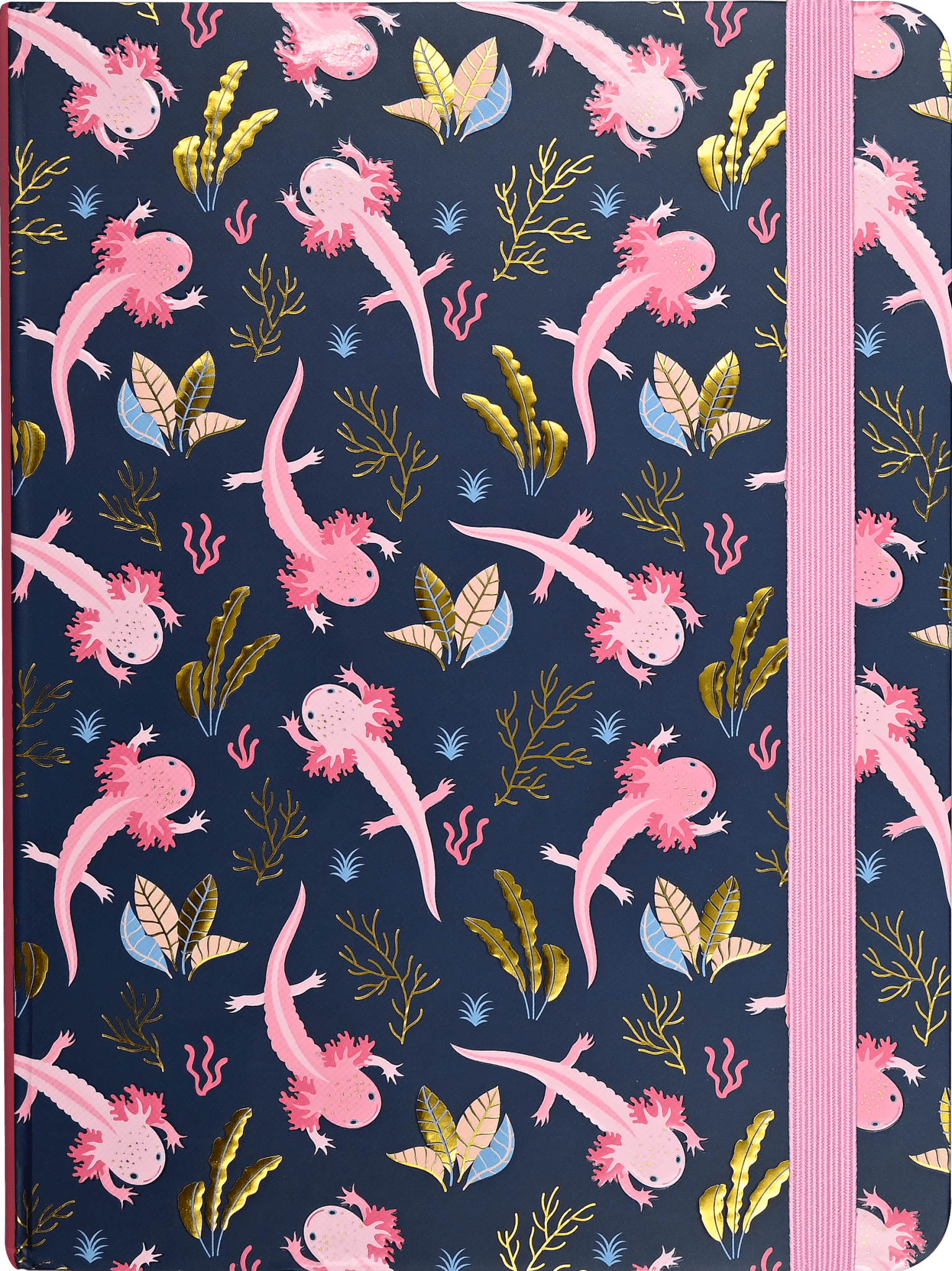 Axolotls Journal - The Regal Find