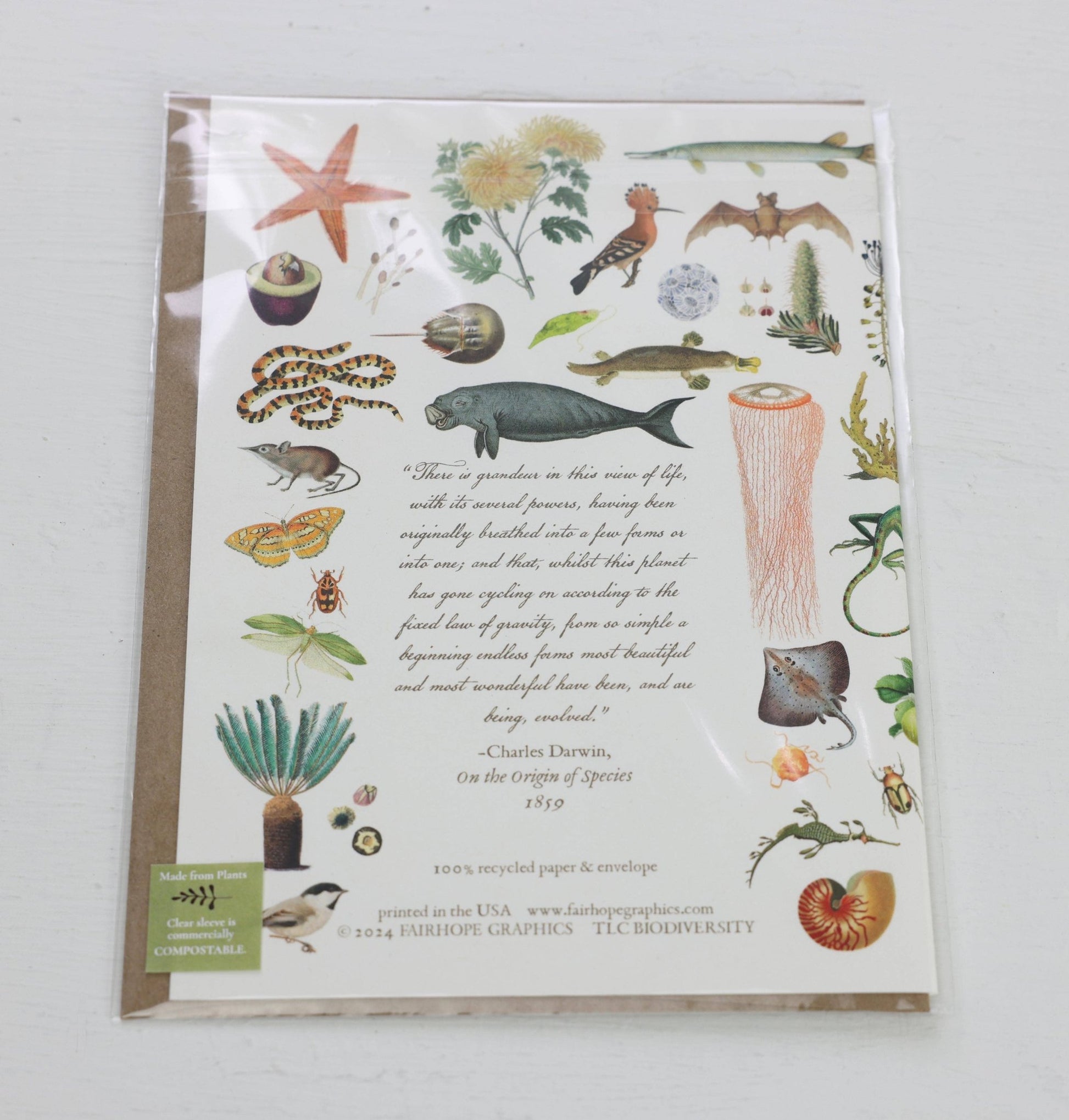 Biodiversity Card - The Regal Find