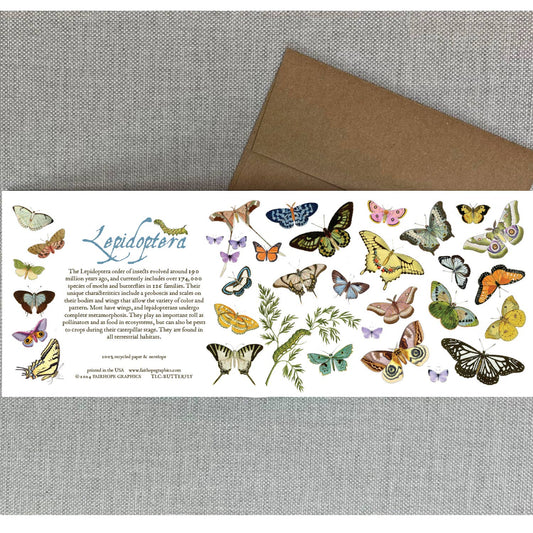 Butterflies and Moths Card - The Regal Find