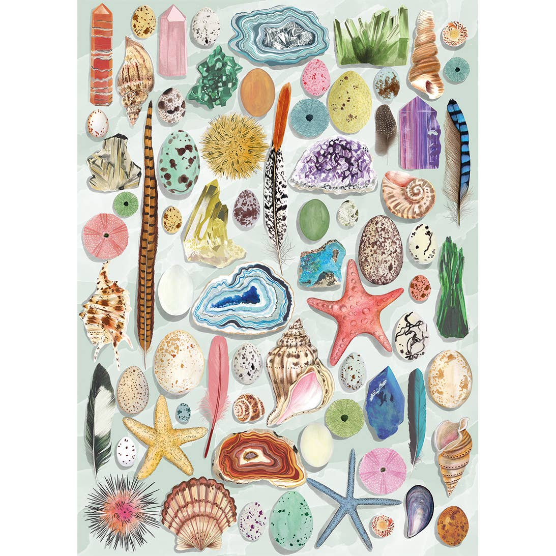 The Art File Natural Curiosities 1000 Piece Jigsaw Puzzle