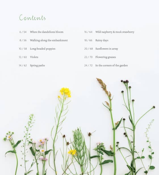 Embroidered Wild Flowers