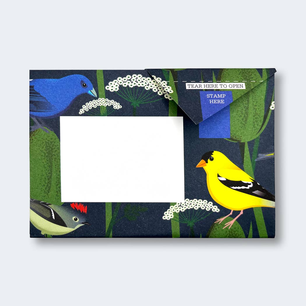 Carnival of Colour Pigeon letter pack - The Regal Find