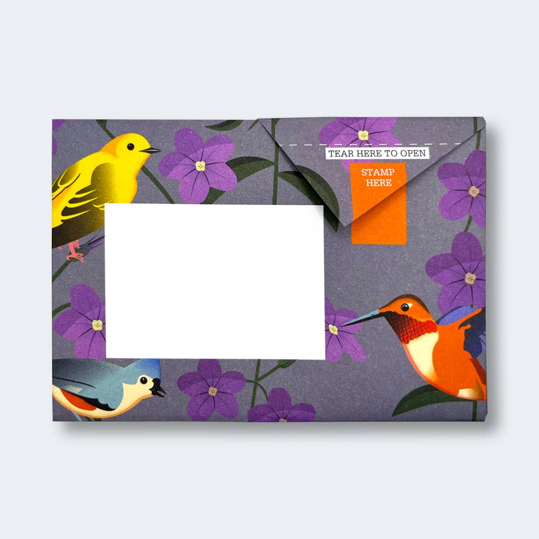 Carnival of Colour Pigeon letter pack - The Regal Find