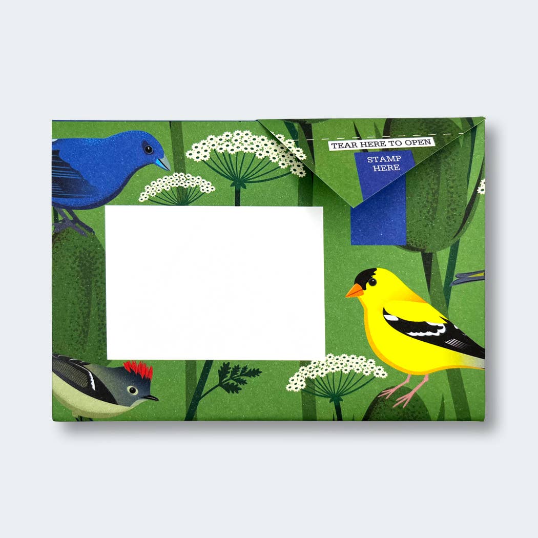 Carnival of Colour Pigeon letter pack - The Regal Find
