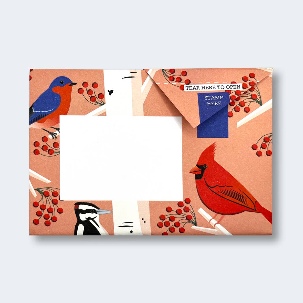 Carnival of Colour Pigeon letter pack - The Regal Find