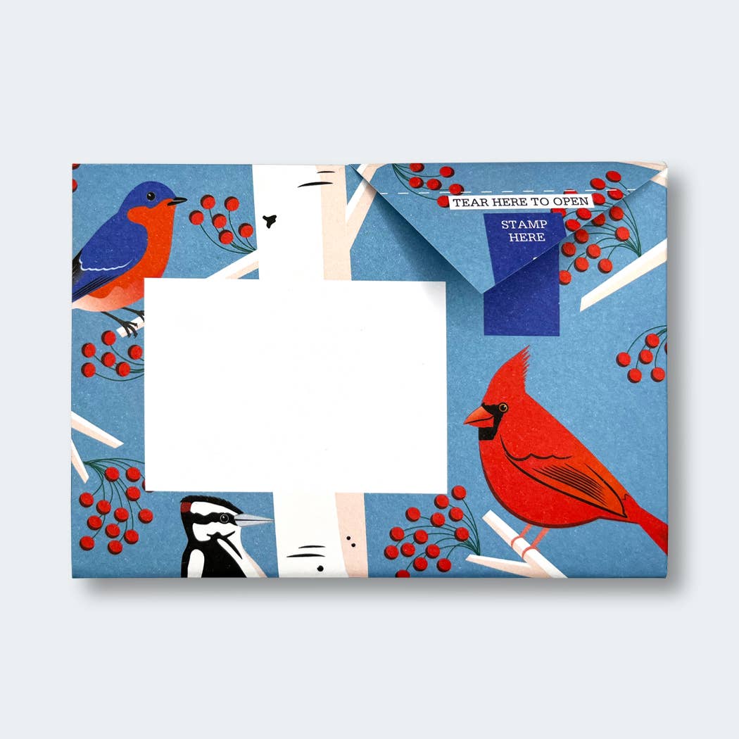 Carnival of Colour Pigeon letter pack - The Regal Find