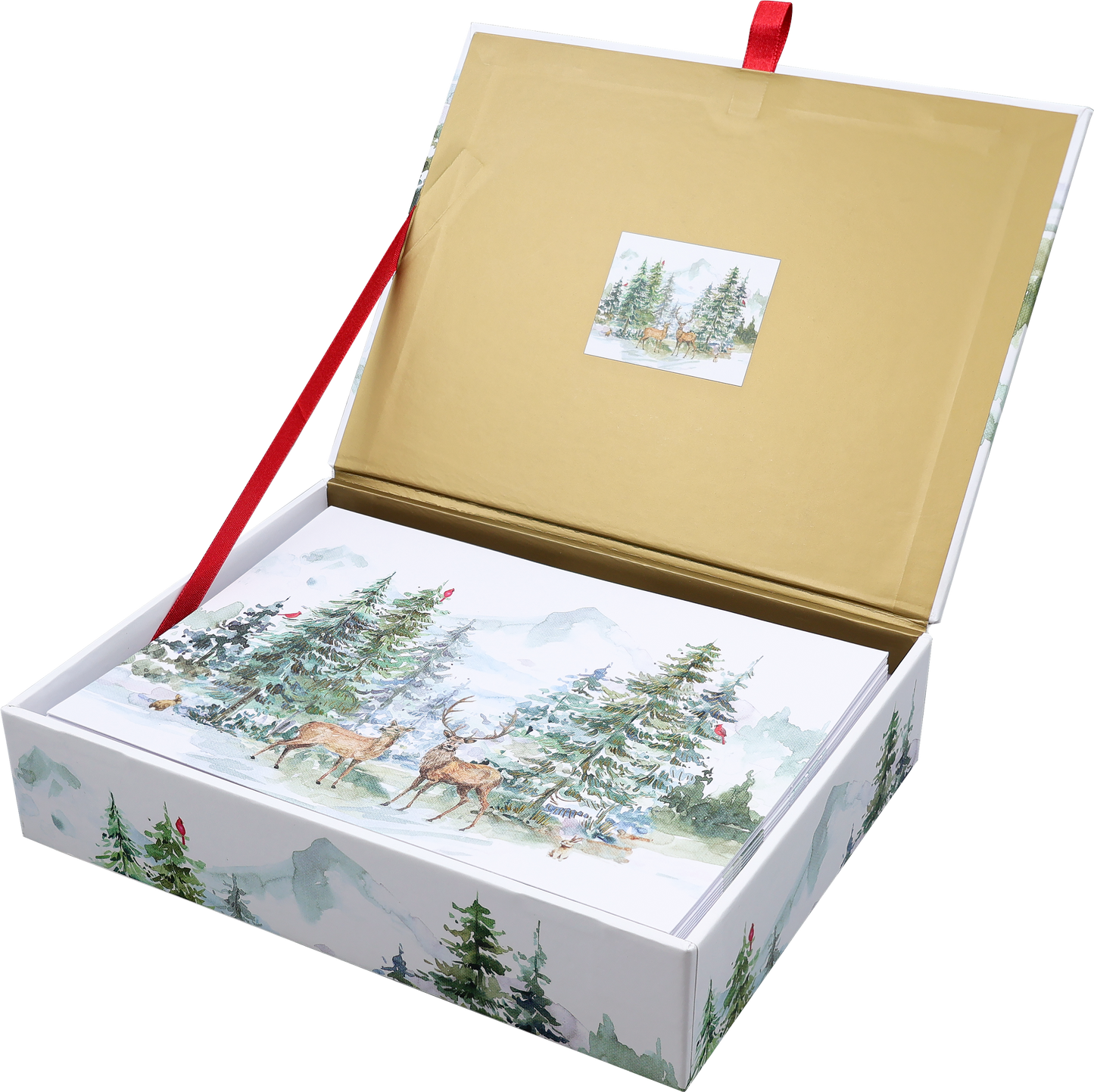 Winter Wonderland Deluxe Boxed Holiday Cards