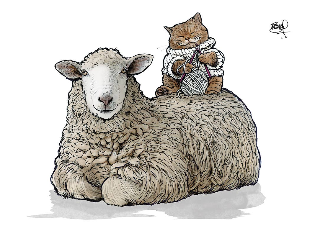 Locally Sourced #350: Card