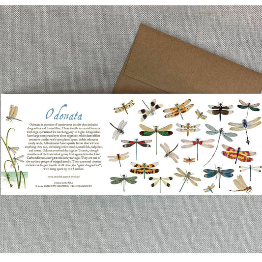 Dragonflies Card - The Regal Find