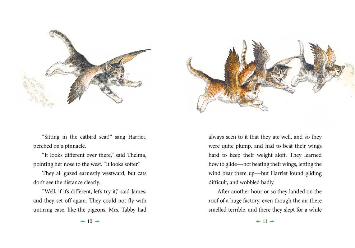 Illustrated book page with flying cats and text