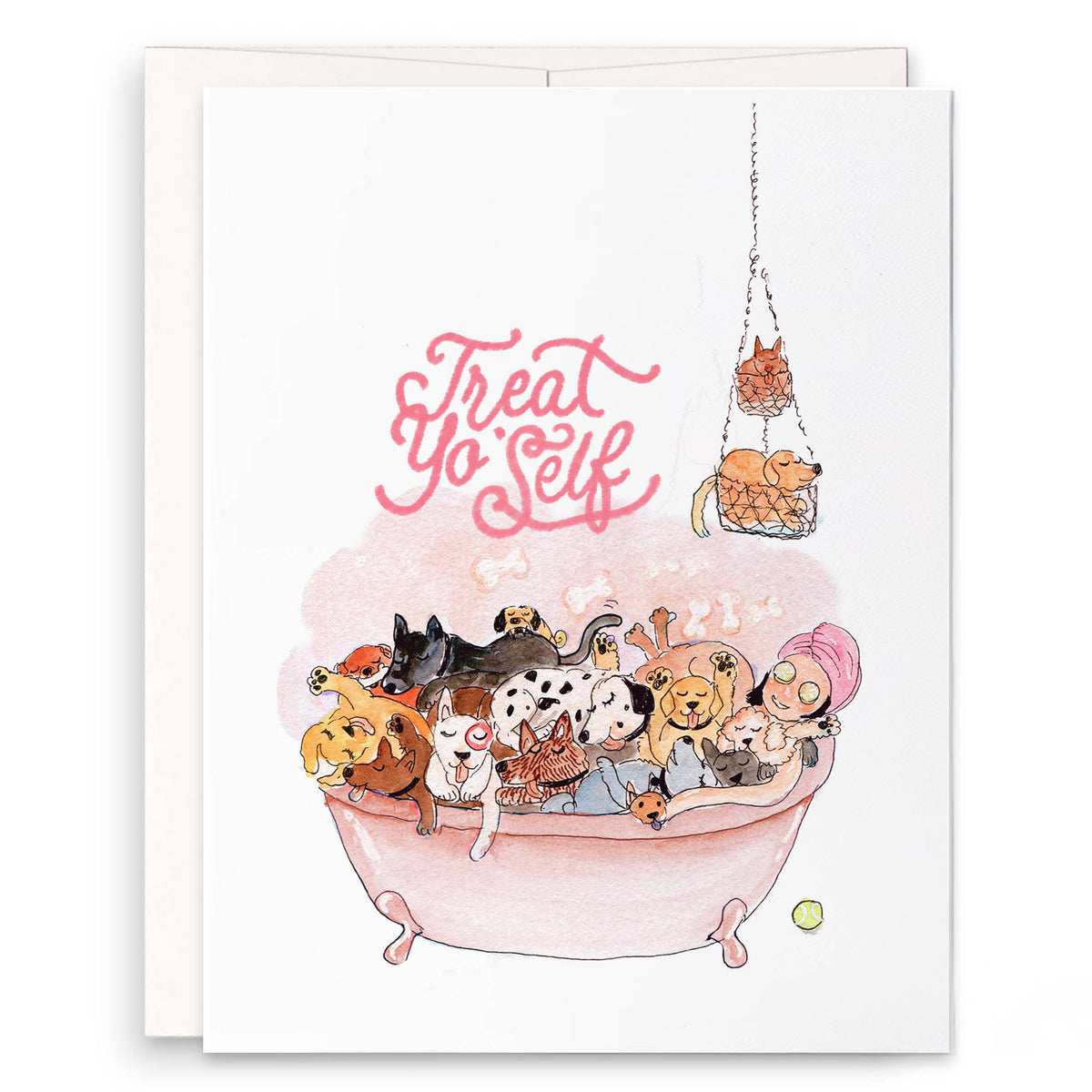 Dog Spa Birthday - Funny Birthday Card