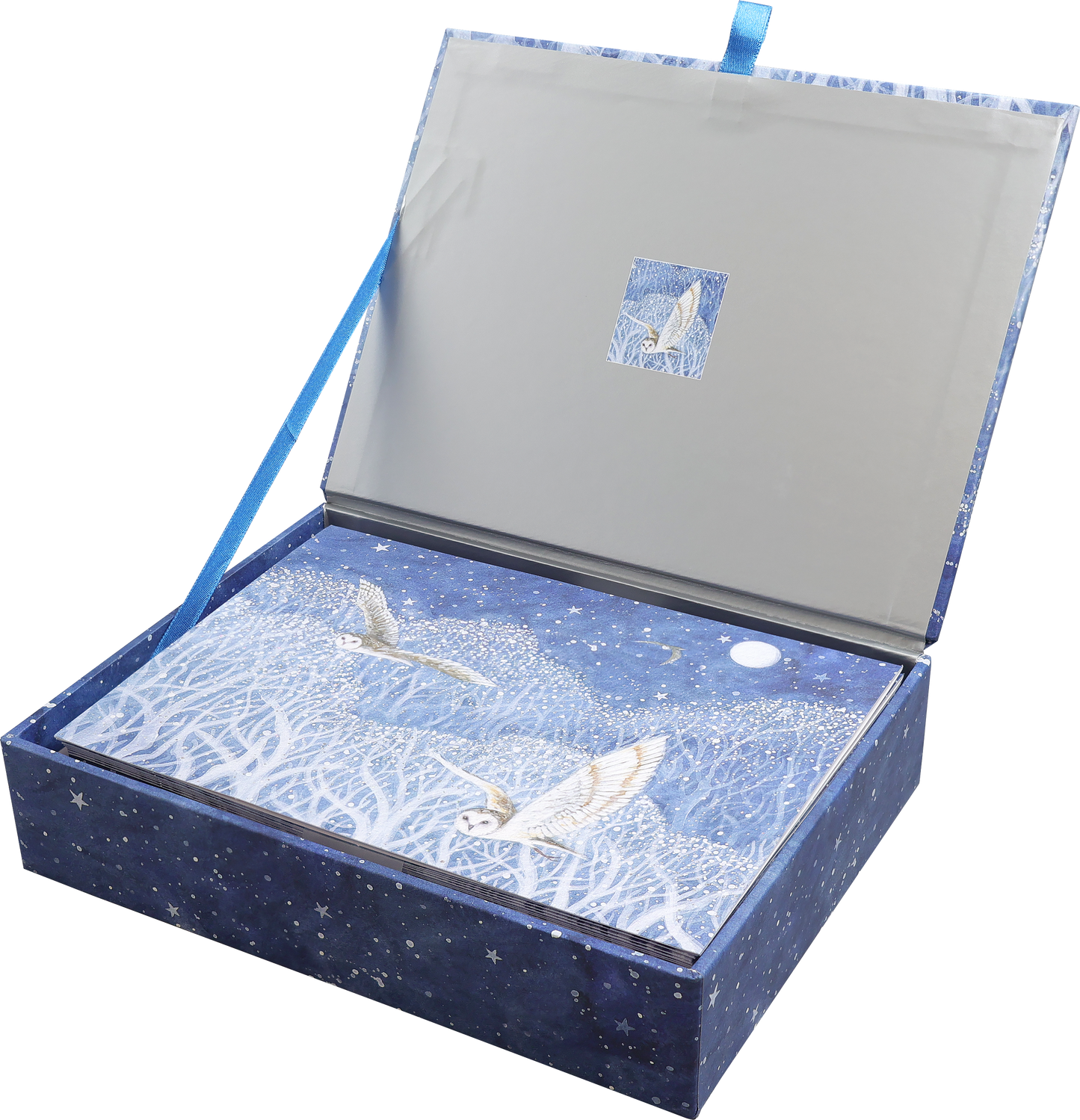 Owls in Flight Deluxe Boxed Holiday Cards