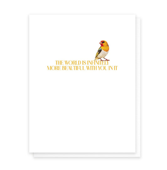 Infinitely More Beautiful - The Regal Find