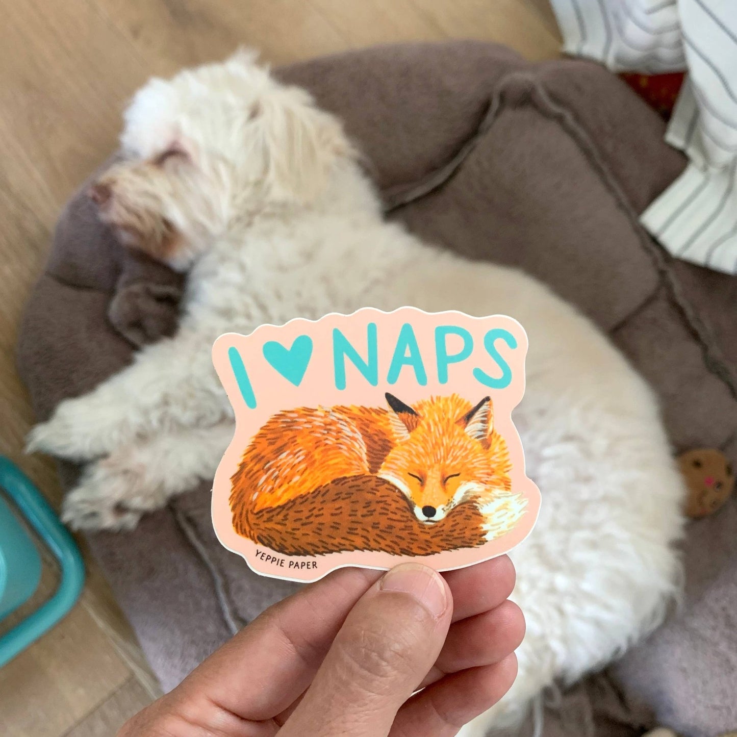 Napping Fox Sticker - The Regal Find